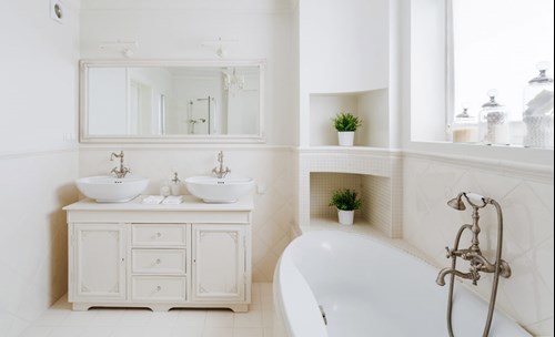 Bathroom interior - Bath, 2 hand basins, mirror, house plants, cupboard
