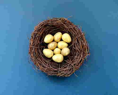 Golden eggs in a bird nest representing secure investment